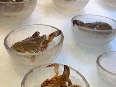 -半岛翡丽海鲜自助餐厅(观风亭店)