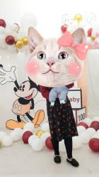 -苏派宝宝生日宴·求婚策划·气球派对布置(园区店)