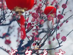 -WOKKA by艮上(中海环宇荟店)