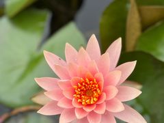 -梅溪湖公园