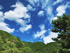-遥桥古堡