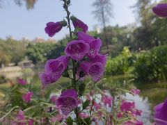 -人民公园(罗湖区)