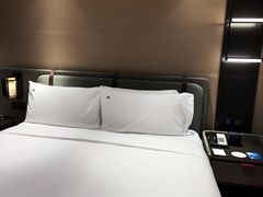 -新加坡瑞士史丹福酒店