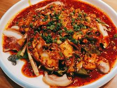折耳根拌拱嘴-有红鸡毛店·川菜(建设路店)