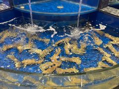 -海景壹号大酒店(滨湖店)