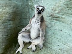 -杭州野生动物世界