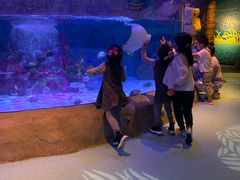 -沈阳海洋探索中心