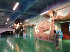 -杭州开元森泊度假乐园