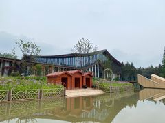 -东平国家森林公园