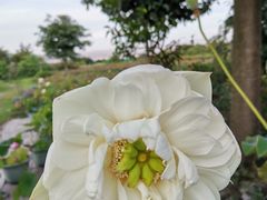 -蝴蝶泉公园