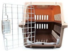 -喵zoo家庭繁育猫舍(尖东智能花园店)