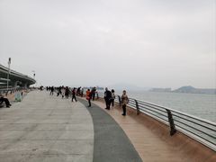 -演武大桥观景平台