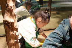 -酷嗒动物文化乐园(cutezoo西溪乐天城店)