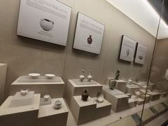 -合肥大剧院