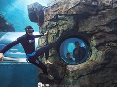-苏州海洋馆