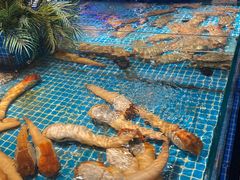 -驻海渔市(置信店)