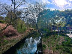 -河姆渡遗址博物馆