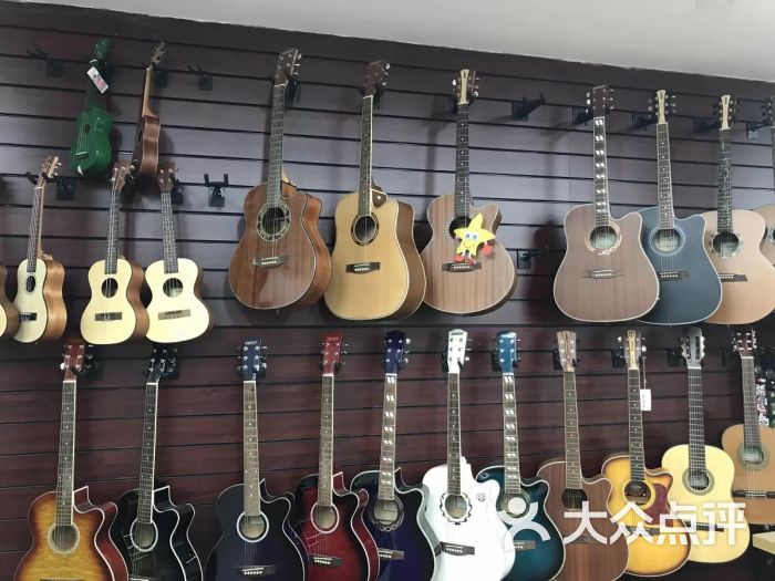 华音琴行(塘桥店)-图片-上海学习培训-大众点评网