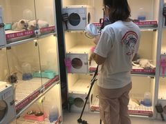 -lincat·猫舍(广州店)