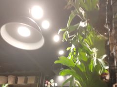 -自由生长植物工作室(深港花卉中心店)