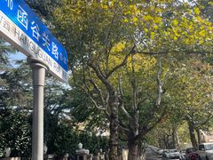 -八大关景区