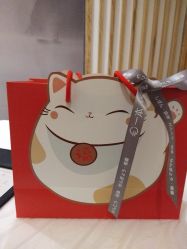 -一本X目奈子日式单根美睫专业店