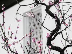 -苏州上方山国家森林公园