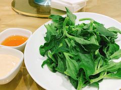 冰草-金时代顺风大酒店(协泰店)