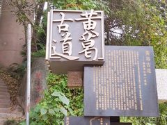 -南山植物园