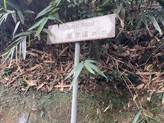 -太平山顶