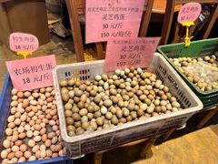 -园林美食城·本土农家菜(杨和镇店)