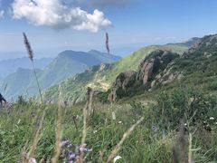 -白草畔自然风景区