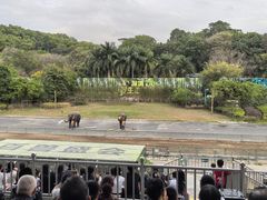 -深圳野生动物园