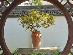 -上海醉白池公园