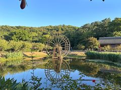 -南京老山国家森林公园