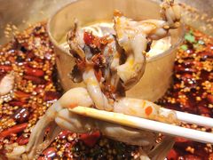 特色美蛙-同蛙阁美蛙鱼头火锅