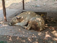 -济南野生动物世界
