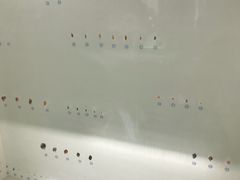 -青岛贝壳博物馆