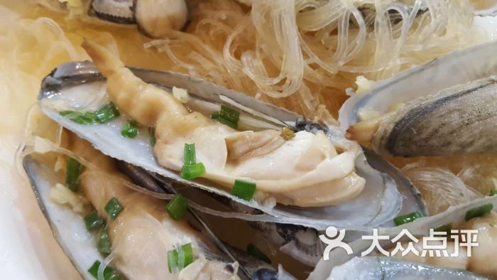 新城渔邨(保利银滩店)蒸白蚌图片 - 第1920张