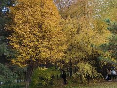 -黑龙江省森林植物园