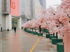 -金茂览秀城