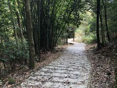 -广州市石门国家森林公园
