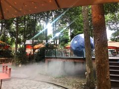 -二荆条·蜀鲜汇城市森林火锅