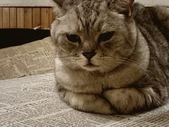 -隅cafe(傅厚岗店)