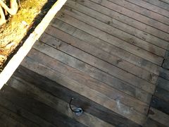 -凤来栖·净庭院·火锅(欧尚店)