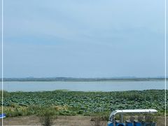 -七的湖·晚芳亭·阳澄湖农家菜·大闸蟹(莲花岛店)