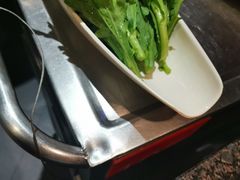 茼蒿-海底捞火锅(崇文门新世界百货店)