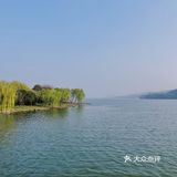 🌸无锡鼋头渚-樱花没开