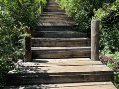 -白草畔自然风景区