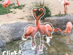 -红山森林动物园